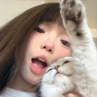 犬爱奇缘